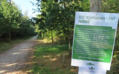 Forêt de La Grange fermée