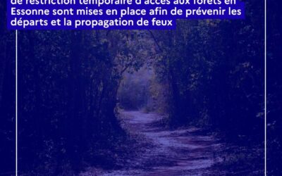 Restrictions temporaires d&rsquo;accès en forêt