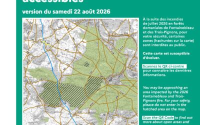 Forêt de Fontainebleau – Réouverture le 22 août